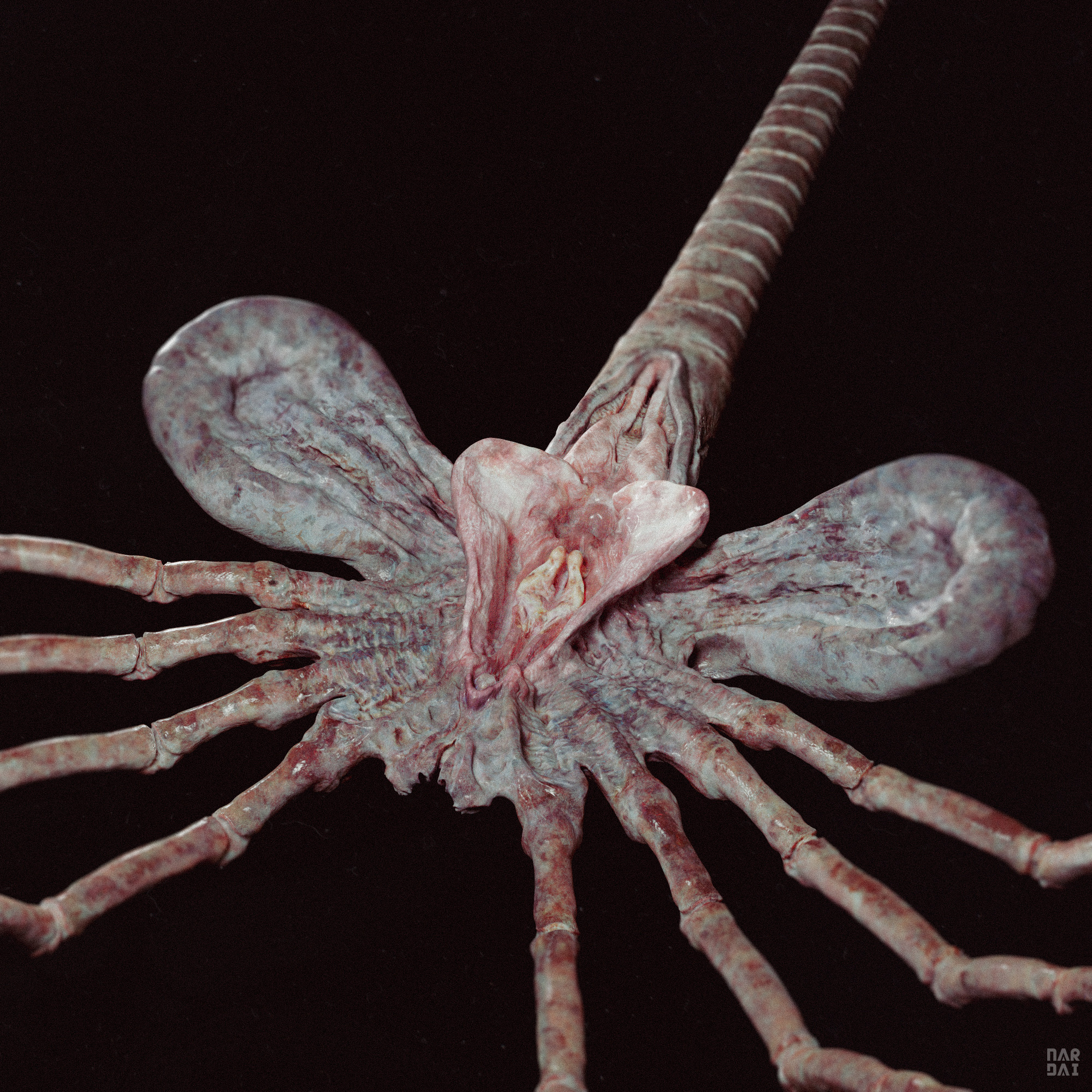 erik-nardai-facehugger-5 erik-nardai-facehugger-5